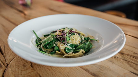 Pasta mit grünem Gemüse und Käse auf einem weißen Teller.